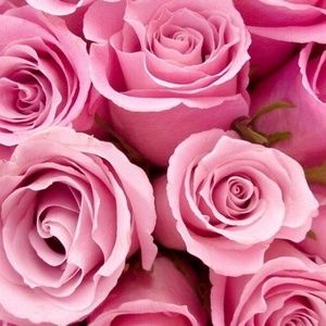 Shop my closet for some great deals.